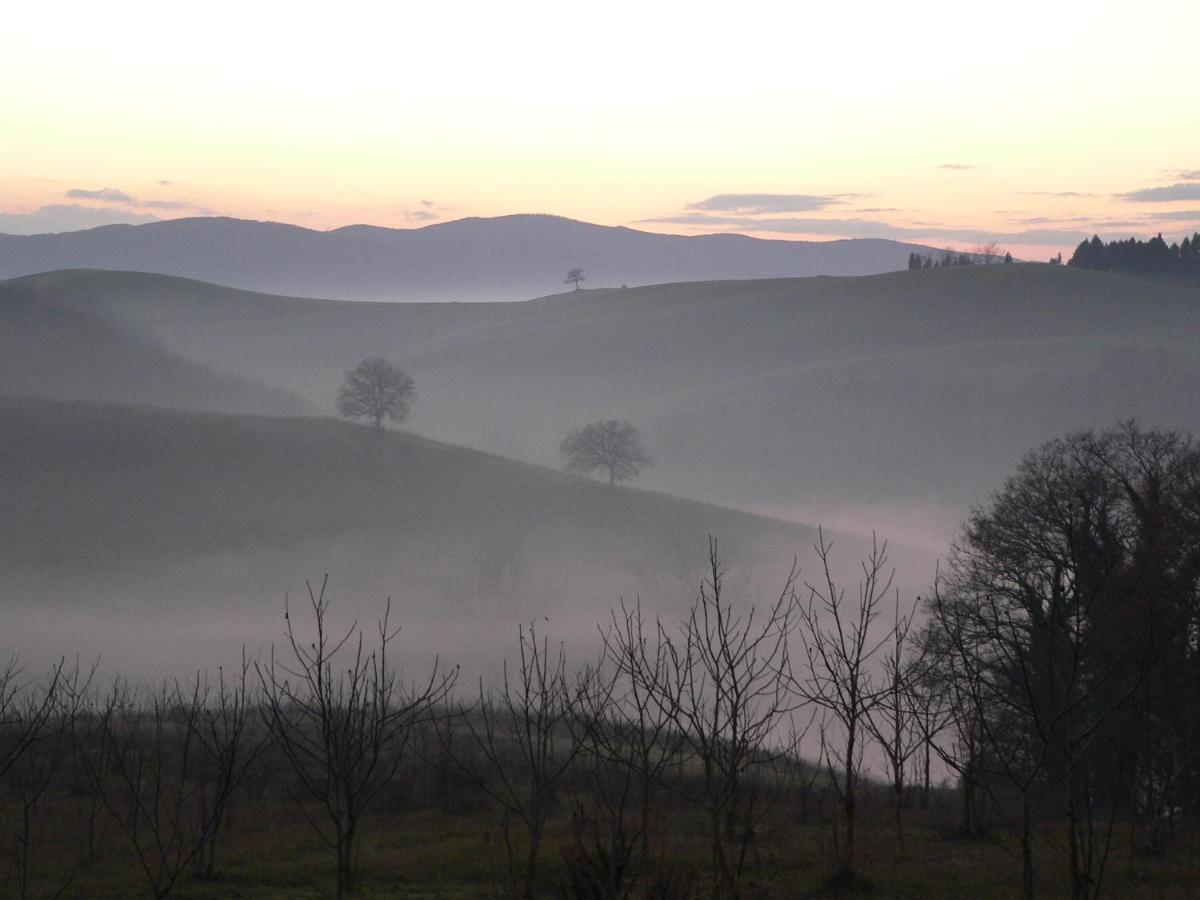 ブオンコンヴェント Podere Sant'Antonioヴィラ エクステリア 写真