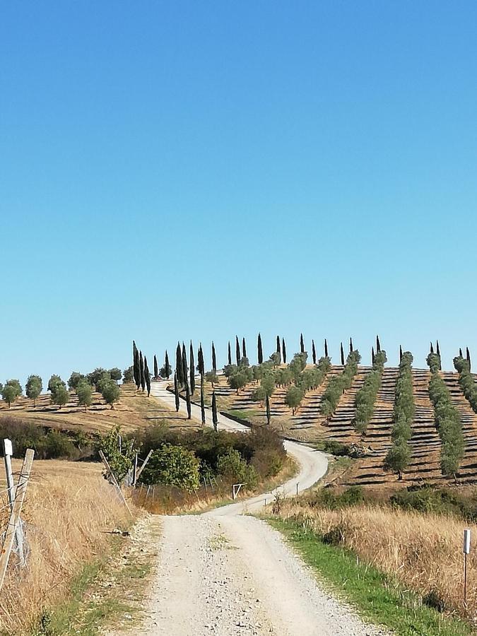 ブオンコンヴェント Podere Sant'Antonioヴィラ エクステリア 写真