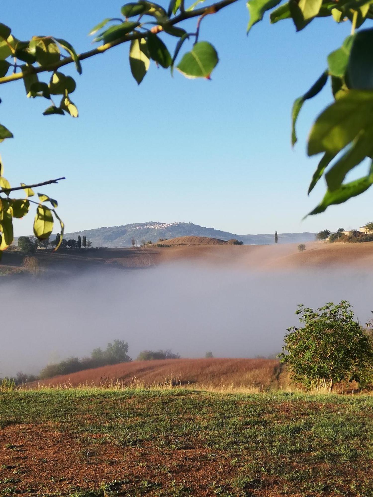 ブオンコンヴェント Podere Sant'Antonioヴィラ エクステリア 写真